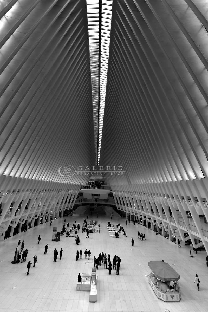 Inside the Oculus New York  - Photographie Photographies par thématiques Galerie Sébastien Luce