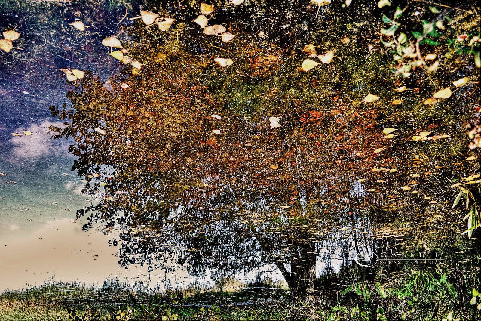 été indien - Photographie Photographies par thématiques Galerie Sébastien Luce