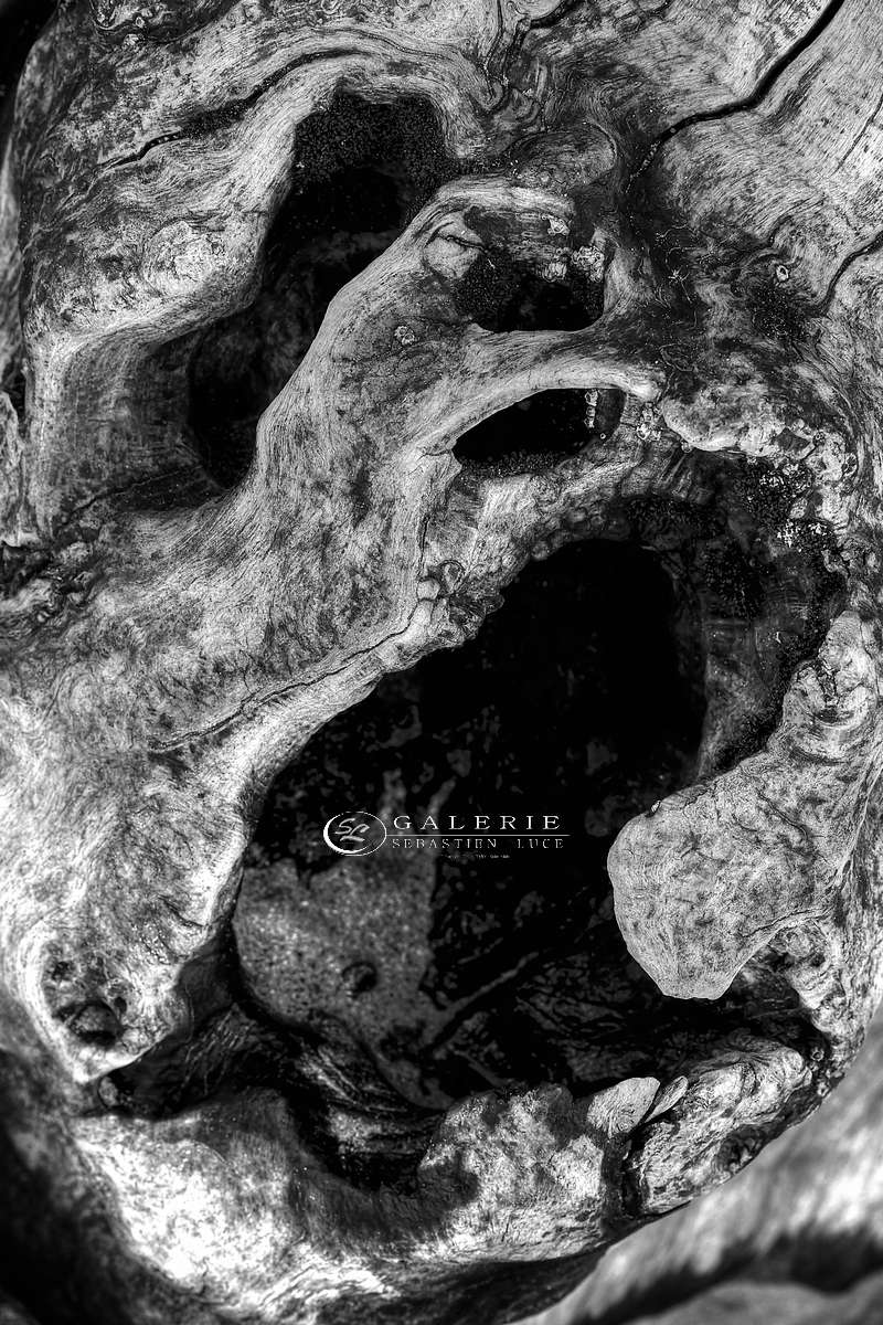 cri de l âme - saint malo  - Photographie Photographies par thématiques Galerie Sébastien Luce