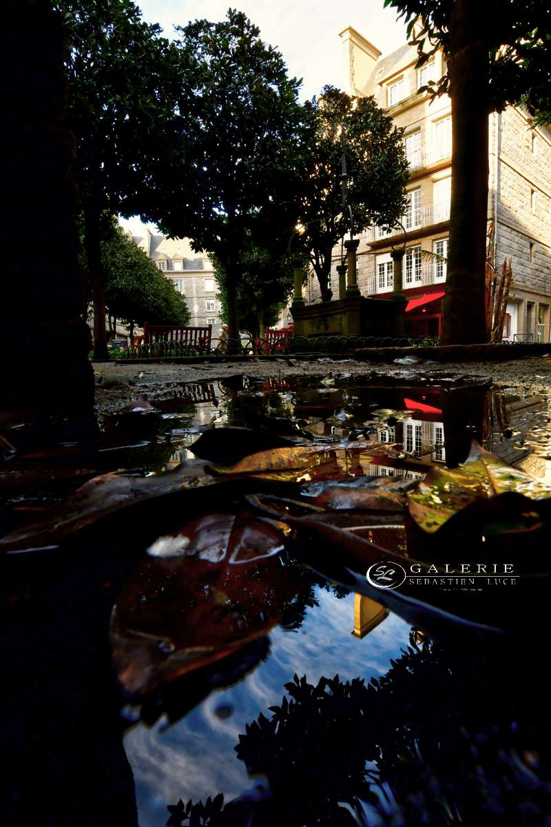 Saint Malo parmi les feuilles  - Photographie Photographies par thématiques Galerie Sébastien Luce