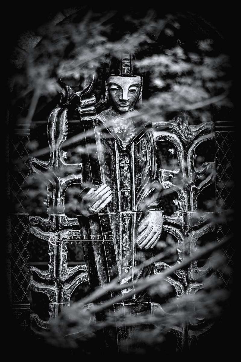 Gardien du jardin des rêves -st malo - Photographie Photographies par thématiques Galerie Sébastien Luce