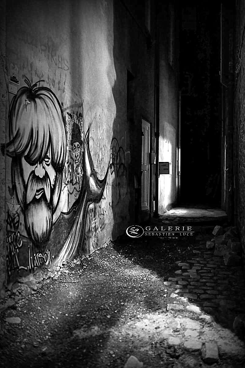 l homme baleine - saint malo - Photographie Photographies par thématiques Galerie Sébastien Luce