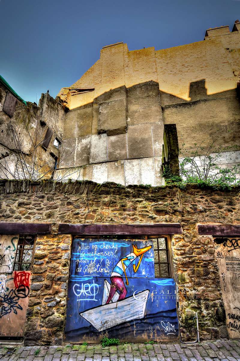 Le Loup - Saint Malo 