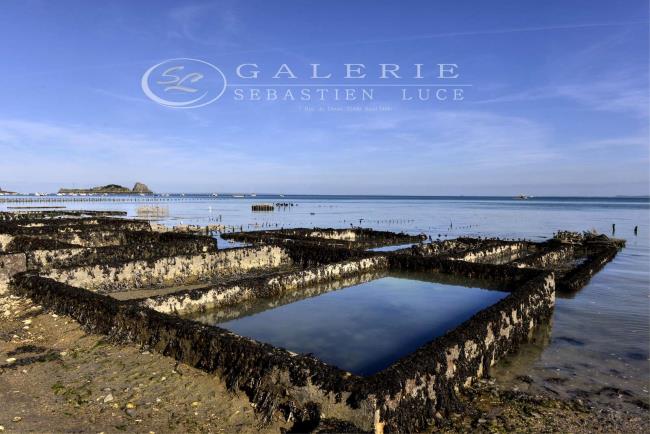 Parcs à Huitres - Cancale - Photographie Photographies par thématiques Galerie Sébastien Luce