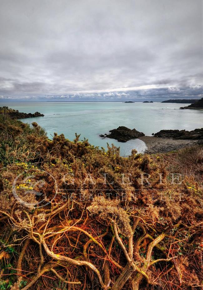 La Mer mes racines - Photographie Photographies par thématiques Galerie Sébastien Luce