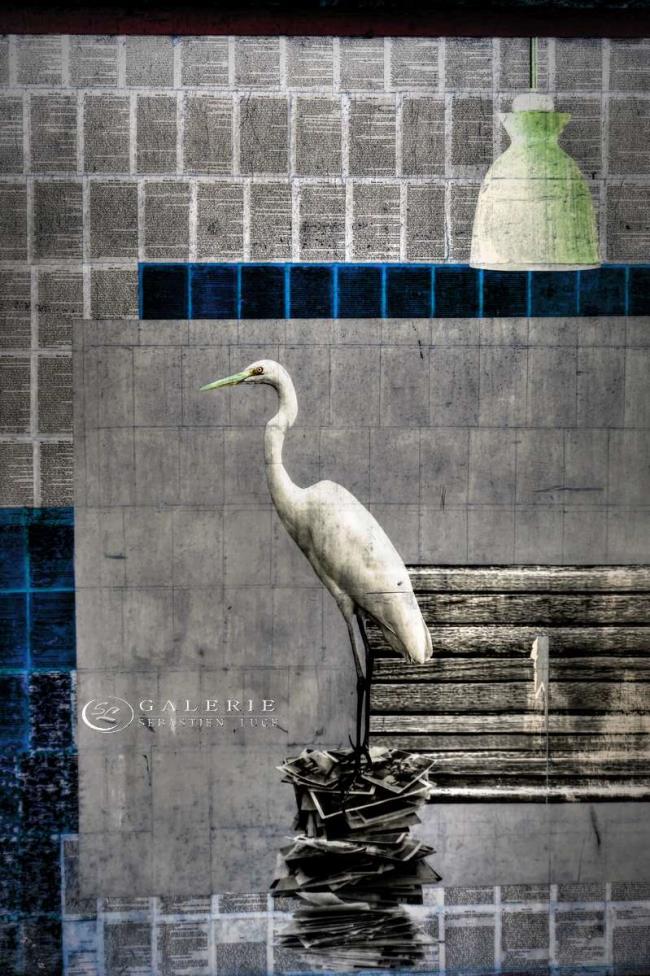échassier - Photographie Photographies d'art en édition limitée Galerie Sébastien Luce
