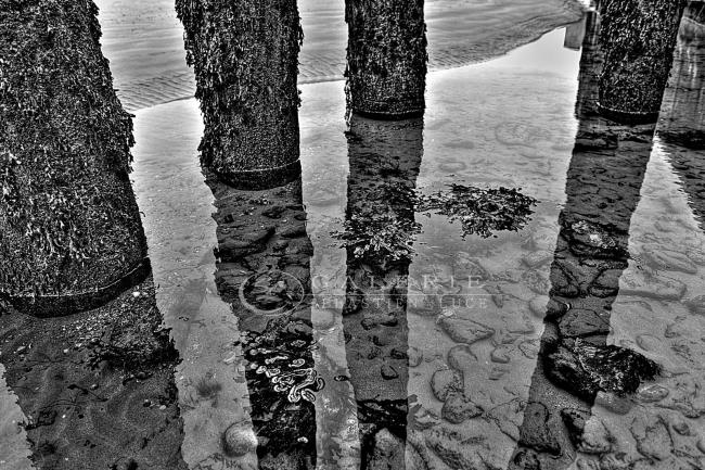 Lignes Maritime - Photographie Photographies par thématiques Galerie Sébastien Luce