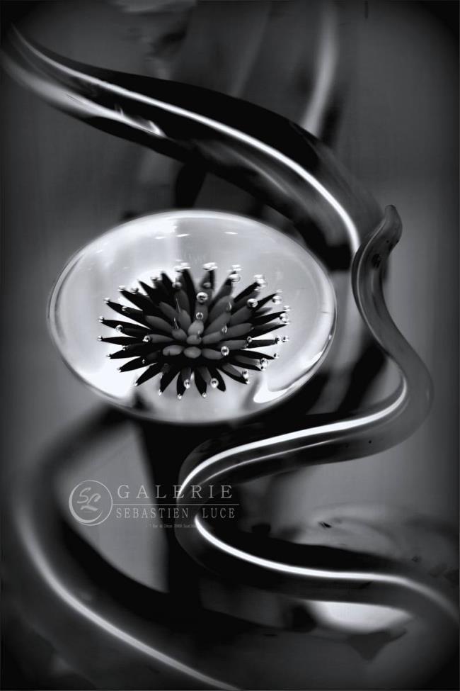 Dans sa bulle - Photographie Photographies d'art en édition limitée Galerie Sébastien Luce