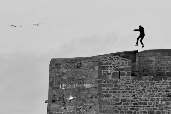 Fait comme l oiseau - Photographie Photographies par thématiques Galerie Sébastien Luce