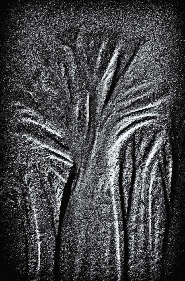 Artères salées - Saint Malo - Photographie Photographies par thématiques Galerie Sébastien Luce