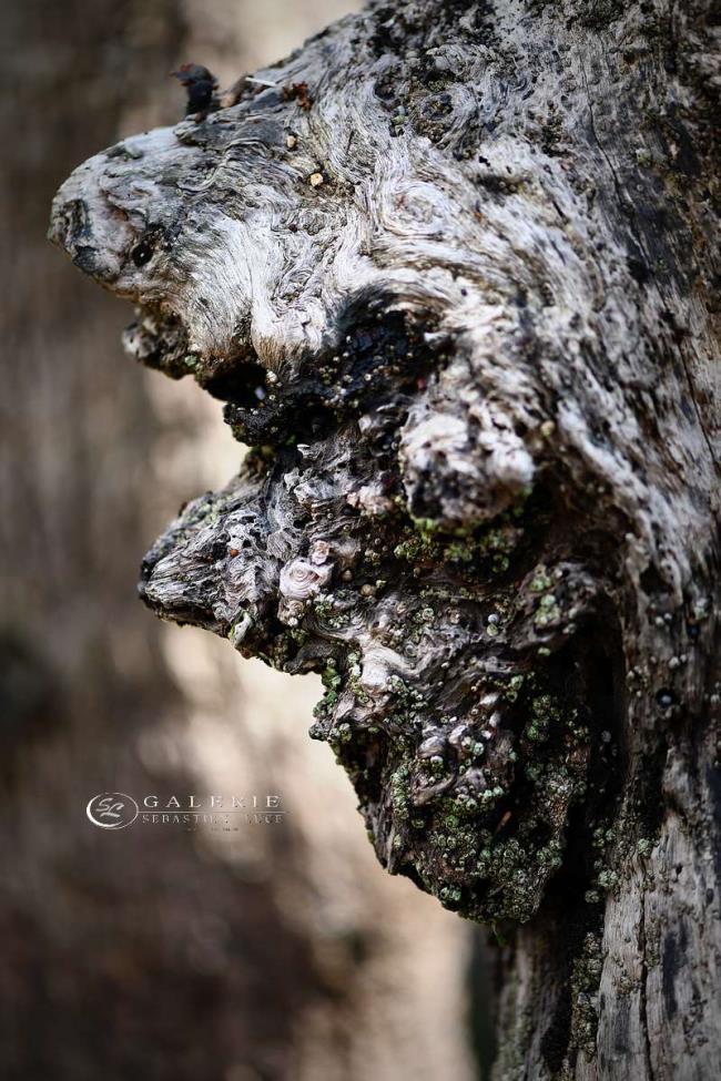 l âme de brise-lames - Photographie Photographies d'art en édition limitée Galerie Sébastien Luce