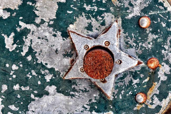 Etoile de Mer  - Photographie Photographies d'art en édition limitée Galerie Sébastien Luce