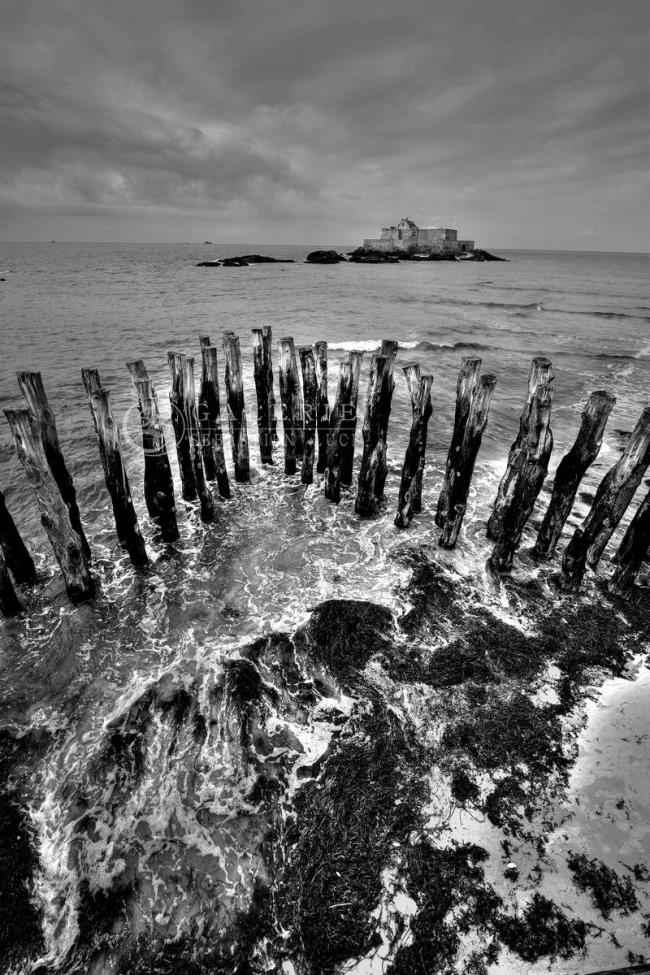 Indomptable Nature - Photographie Photographies par thématiques Galerie Sébastien Luce