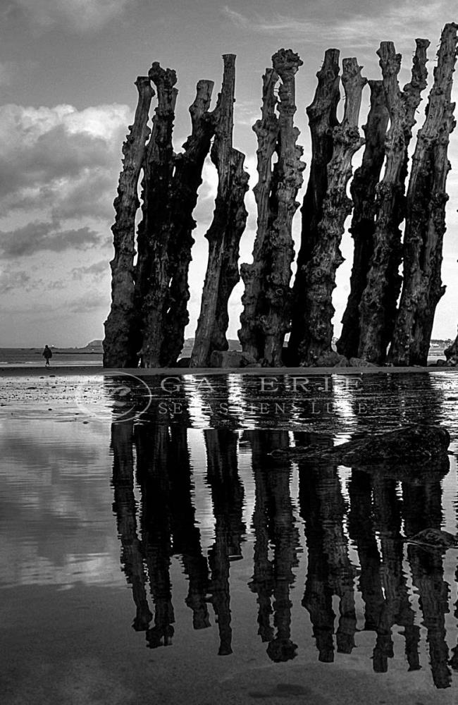 Barrière Maritime - Photographie Photographies par thématiques Galerie Sébastien Luce