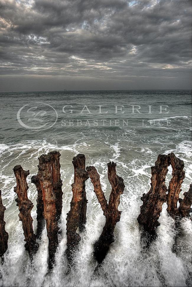 Brise-Lames - Photographie Photographies par thématiques Galerie Sébastien Luce