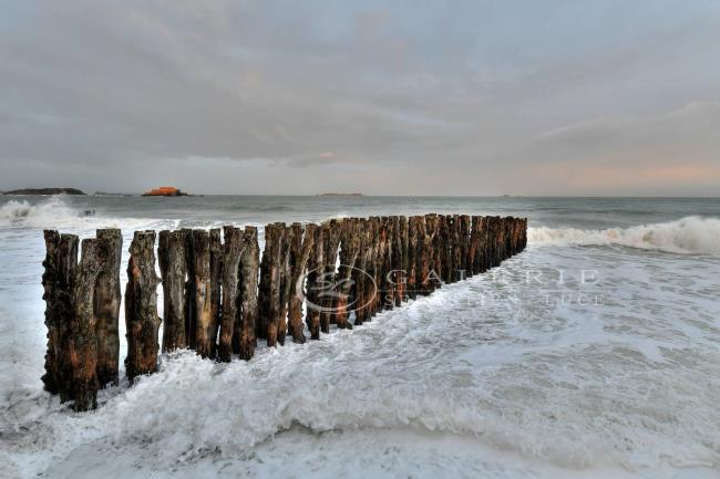 Mer de Mousse - Photographie Photographies par thématiques Galerie Sébastien Luce