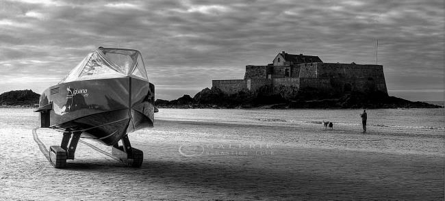 Iguana - Saint Malo - Photographie Photographies par thématiques Galerie Sébastien Luce