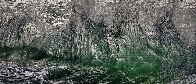 Cheveux de Mer - Photographie Photographies d'art en édition limitée Galerie Sébastien Luce