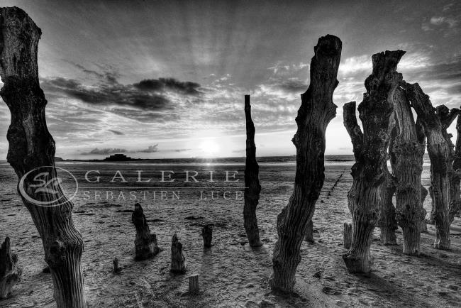 Rayon de lumière  - Photographie Photographies par thématiques Galerie Sébastien Luce