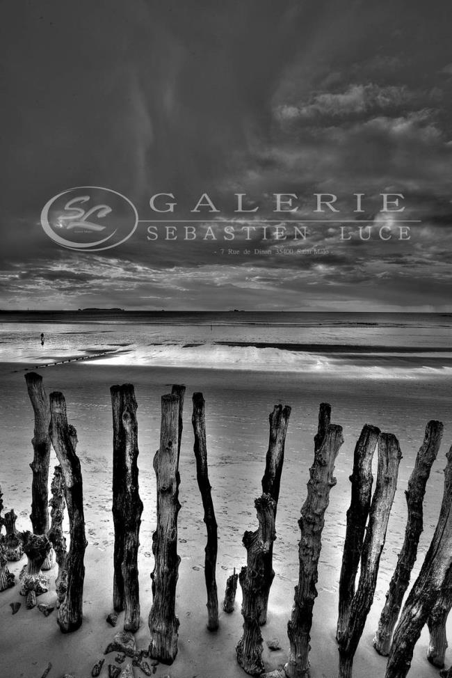 En rang - Photographie Photographies par thématiques Galerie Sébastien Luce