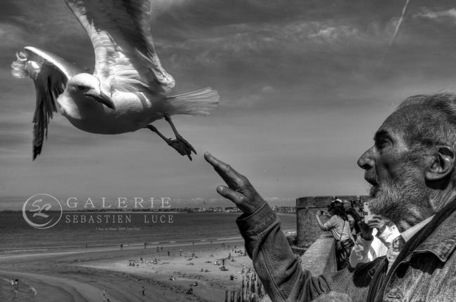 L´Envol - Photographie Photographies par thématiques Galerie Sébastien Luce