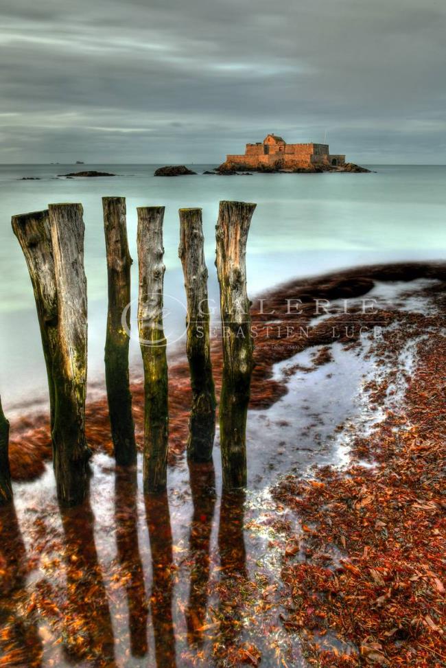 Sillon d´Algues Rouge - Photographie Photographies d'art en édition limitée Galerie Sébastien Luce