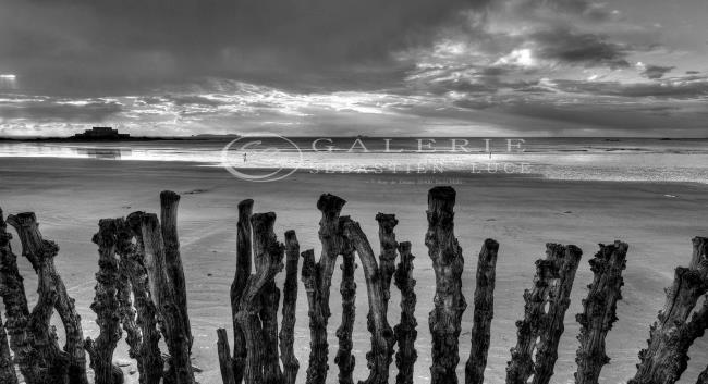 Les Gardiens du Sillon - Photographie Photographies par thématiques Galerie Sébastien Luce