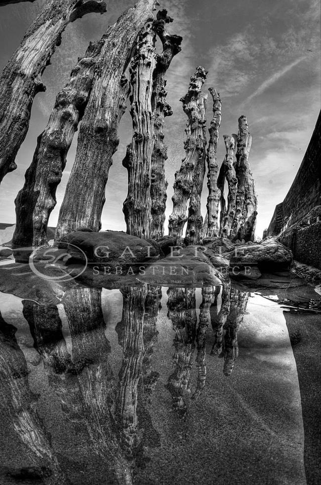Saint Malo - Les Pieds Dans Leau - Photographie Photographies d'art en édition limitée Galerie Sébastien Luce