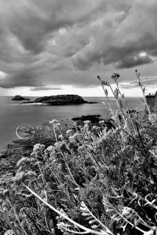 Bouquet Malouin - Photographie Photographies par thématiques Galerie Sébastien Luce