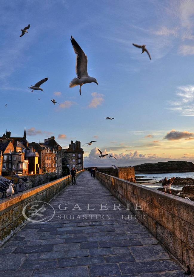 L´envol - St Malo - Photographie Photographies par thématiques Galerie Sébastien Luce