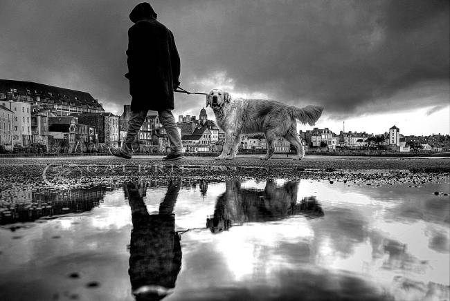 Avoir du flair - Photographie Photographies par thématiques Galerie Sébastien Luce