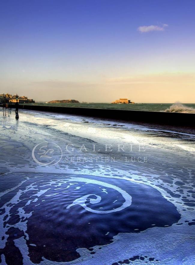 Escargot de Mer - Photographie Photographies par thématiques Galerie Sébastien Luce