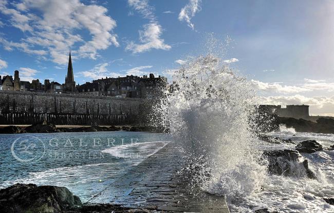 Sculpture Marine - Photographie Photographies par thématiques Galerie Sébastien Luce