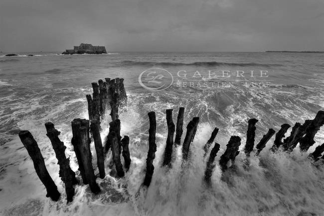 Doigts de Neptune - Photographie Photographies par thématiques Galerie Sébastien Luce