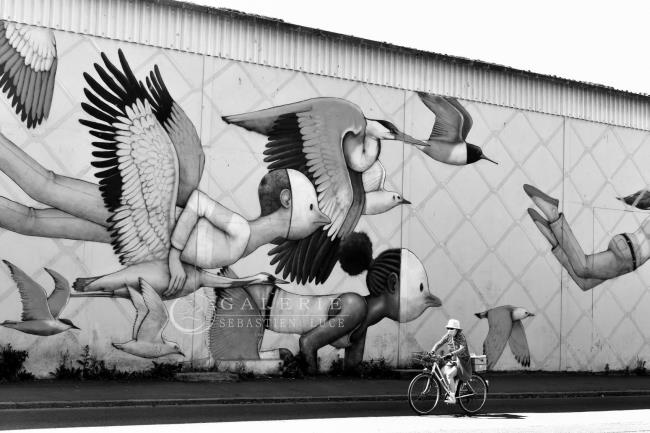 A chacun son Masque - Photographie Photographies par thématiques Galerie Sébastien Luce