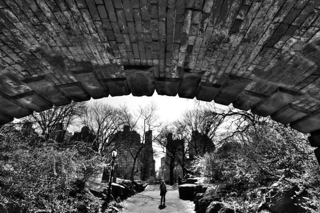 Central Park - Photographie Photographies d'art en édition limitée Galerie Sébastien Luce