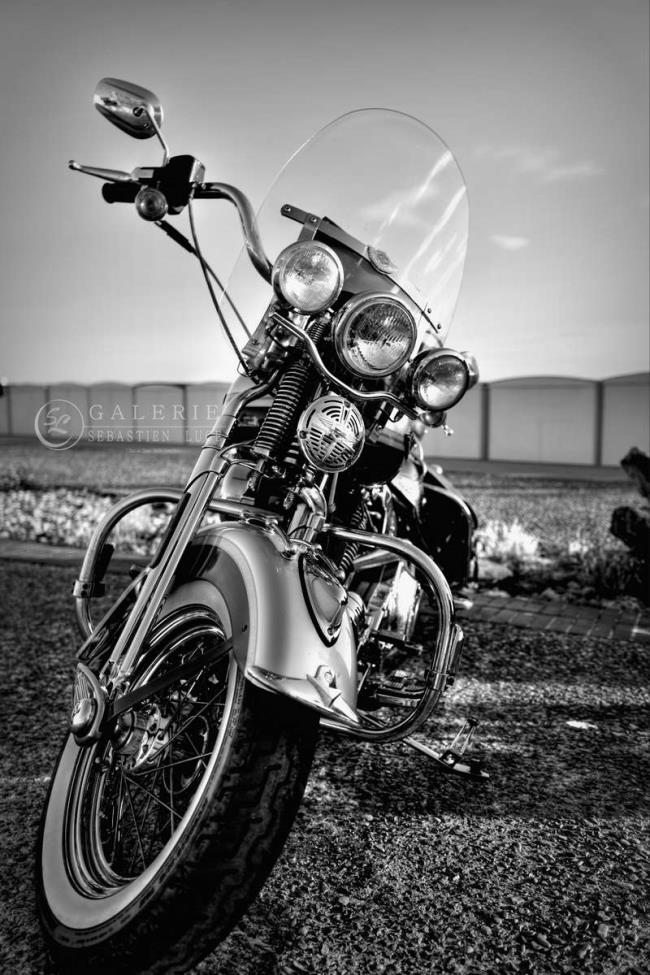 Harley - Photographie Photographies d'art en édition limitée Galerie Sébastien Luce