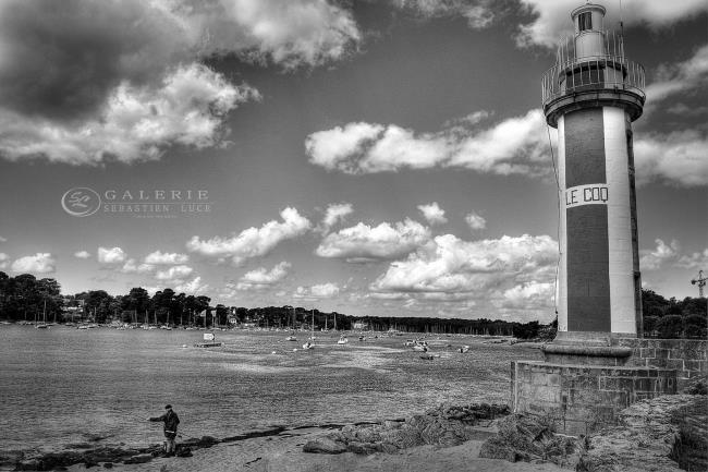 Le Coq - Photographie Photographies par thématiques Galerie Sébastien Luce