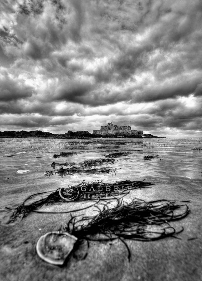 L´Offrande salée - Photographie Photographies par thématiques Galerie Sébastien Luce