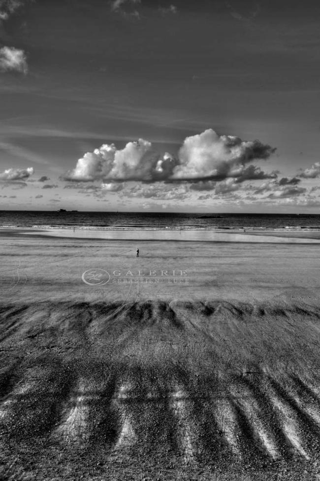 Rencontre avec la nature- Bretagne - Photographie Photographies d'art en édition limitée Galerie Sébastien Luce