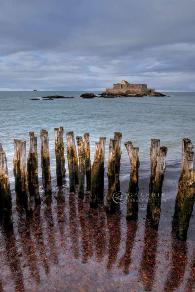 Tentacules - Saint Malo - Photographie Photographies d'art en édition limitée Galerie Sébastien Luce
