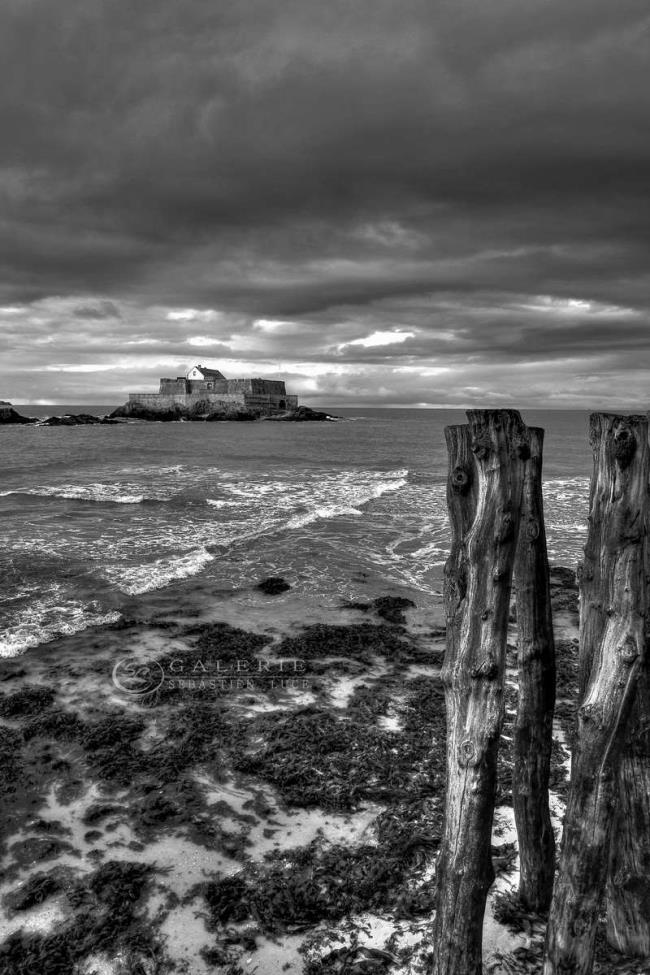Nature et Mer - Saint Malo - Photographie Photographies par thématiques Galerie Sébastien Luce
