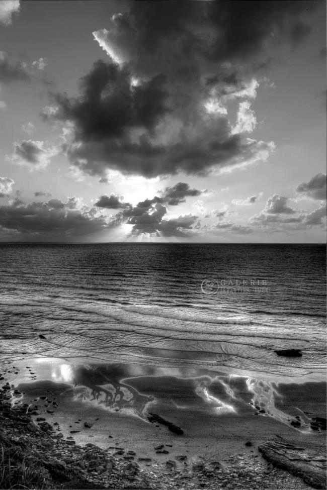 Nature Bretagne - Photographie Photographies par thématiques Galerie Sébastien Luce