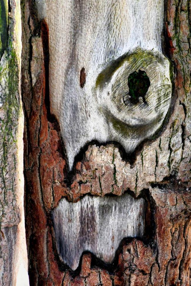 gardien de plage - Saint Malo - Photographie Photographies d'art en édition limitée Galerie Sébastien Luce