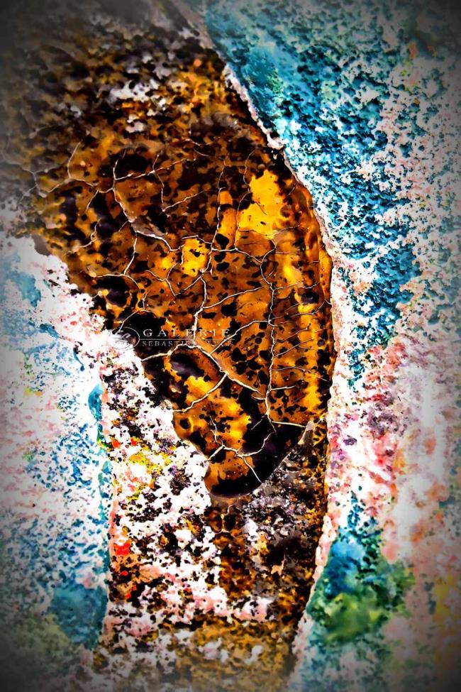 éclats de couleurs - Photographie Photographies d'art en édition limitée Galerie Sébastien Luce