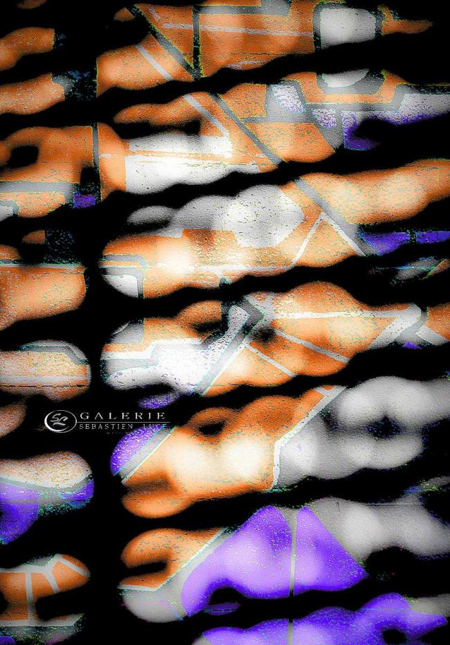 multicolors - ART  - Photographie Photographies d'art en édition limitée Galerie Sébastien Luce