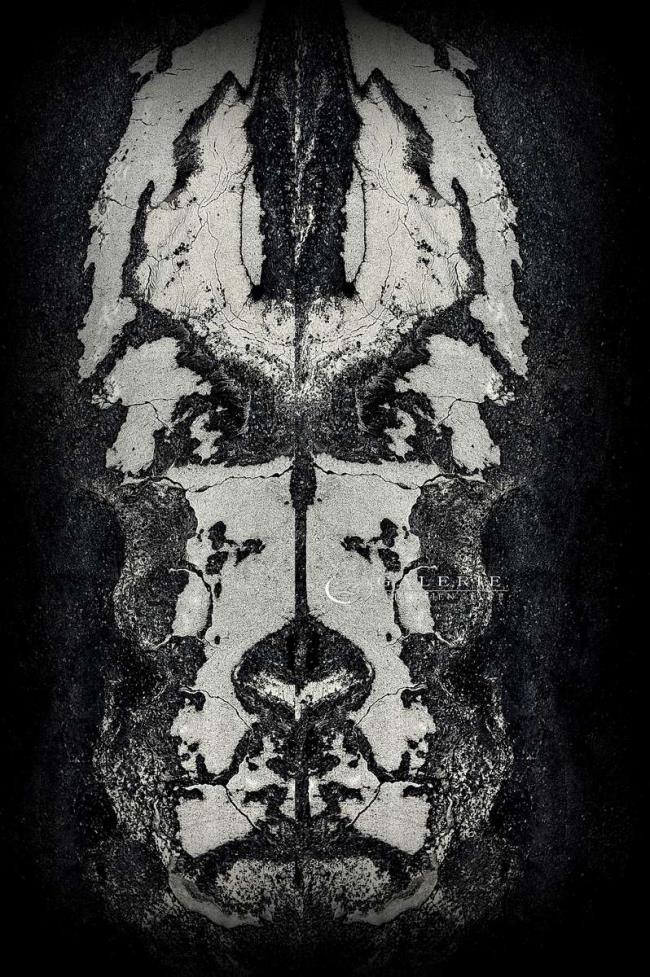 dogart - Photographie Photographies d'art en édition limitée Galerie Sébastien Luce