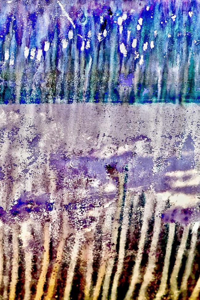 marine art - Photographie Photographies d'art en édition limitée Galerie Sébastien Luce