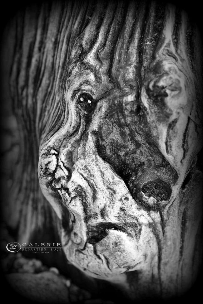 soldat de mer - saint malo - Photographie Photographies d'art en édition limitée Galerie Sébastien Luce