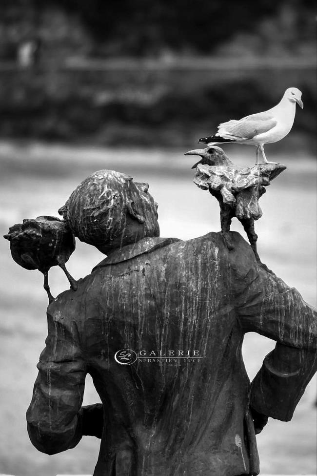 Hitchcock - les oiseaux  - Photographie Photographies d'art en édition limitée Galerie Sébastien Luce